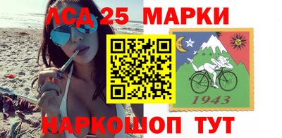 амф Камышлов