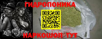 амф Камышлов