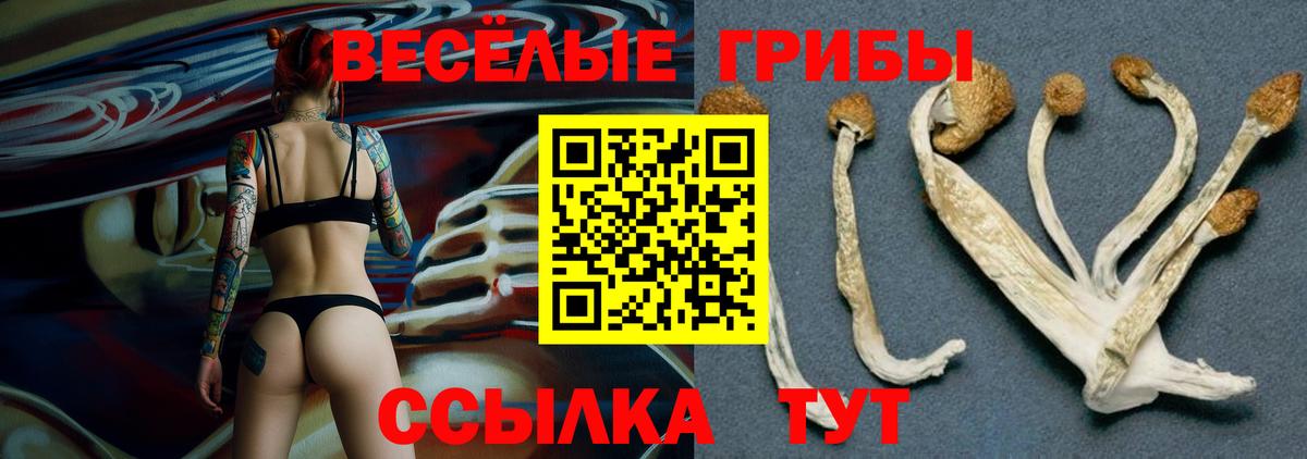 цены   Галлюциногенные грибы мухоморы  Вход с VPN  Ковров 
